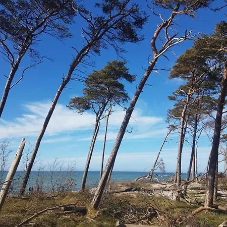 Mit Garten In Tatil Evi