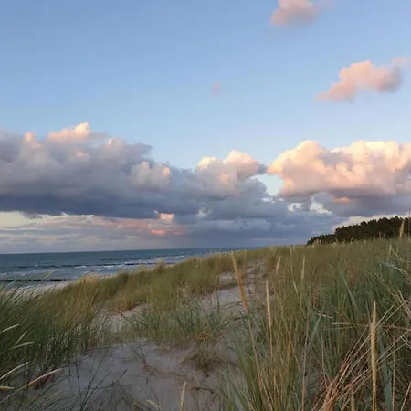 Tatil Evi Mit Garten In Zingst